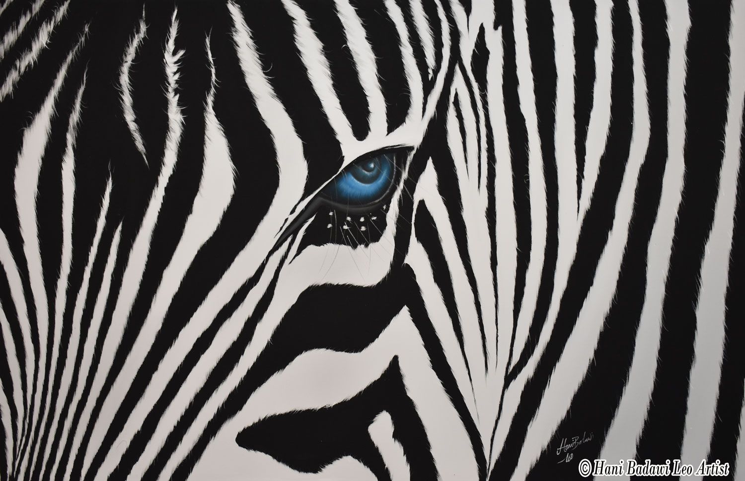 Gli Occhi profondi della Zebra