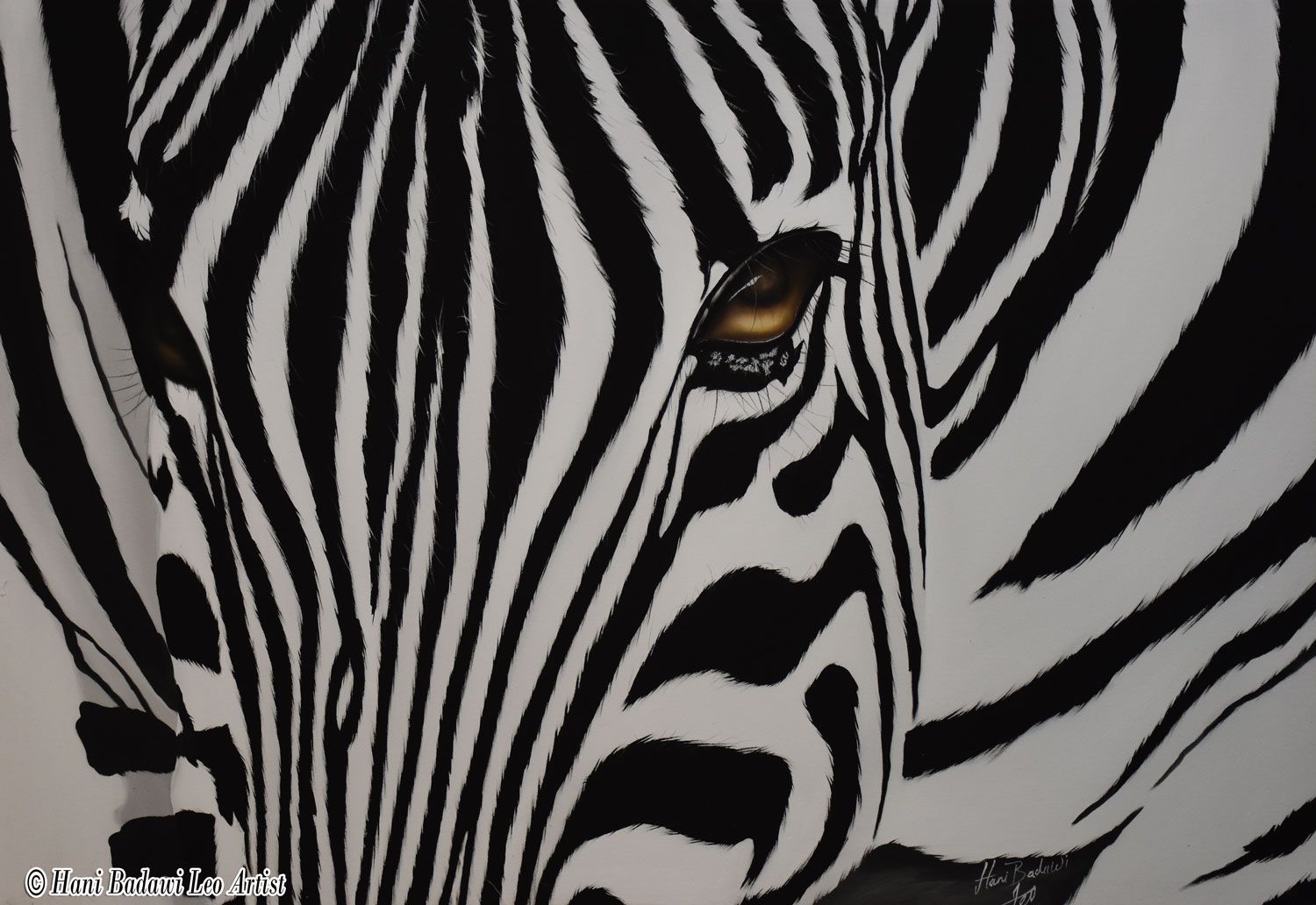 Gli Occhi profondi della Zebra